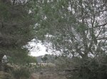 IMG_8495.JPG