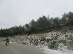IMG_8532.JPG