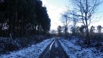 IMGP0621.JPG