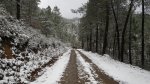 IMGP0622.JPG