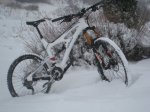 IMG_8516.JPG