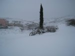 IMG_8513.JPG