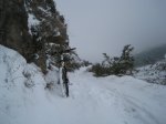 IMG_8522.JPG
