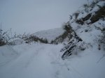 IMG_8517.JPG