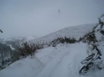 IMG_8520.JPG