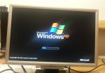 acer1.JPG