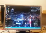 acer2.JPG