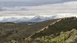 IMG_8353.JPG