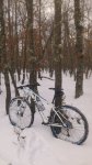 DSC_1612.JPG
