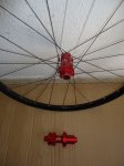 DSC01701.JPG
