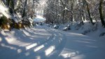 DSC_0361.JPG