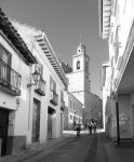 Sin título-Escala de grises-03.jpg