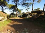 DSC04624 - copia.JPG