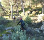 DSC04632 - copia.JPG