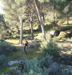 DSC04633 - copia.JPG