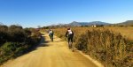 DSC04639 - copia.JPG