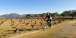 DSC04643 - copia.JPG