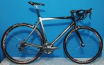 GIANT TCR-1.jpg