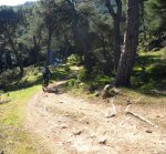 DSC04678 - copia.JPG