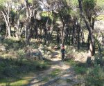 DSC04679 - copia.JPG
