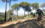 DSC04682 - copia.JPG