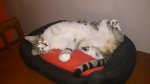 DSC_0435.JPG