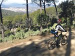 DSC04686 - copia.JPG