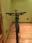 bici borja verde pera.jpg