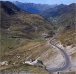 Pyrenees-Pez-2015 (14).jpg