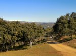 DSC04729 - copia.JPG