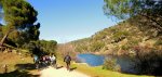 DSC04733 - copia.JPG