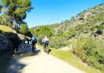 DSC04734 - copia.JPG