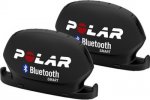 polar.jpg