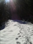 20150210_131055.jpg