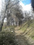 20150210_133304.jpg
