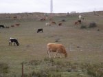DSCN4523.JPG