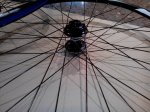 IMG_20150131_102913.jpg