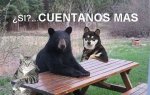 cuentanos mas.jpg