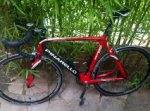 pinarello.jpeg