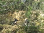 IMG_8550.JPG