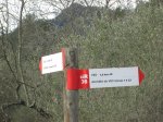 IMG_8558.JPG