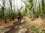 DSC04786 - copia.JPG
