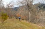 DSC04799 - copia.JPG