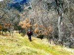 DSC04803 - copia.JPG