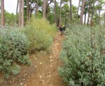 IMG_0021 - copia.JPG