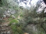 DSC03835.JPG