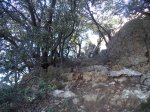 DSC03860.JPG