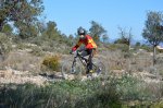 DSC_0113.JPG