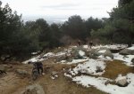 DSC04826.JPG