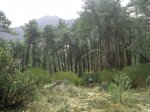 DSC04854.JPG